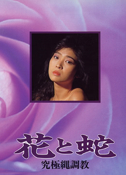電影露露情史